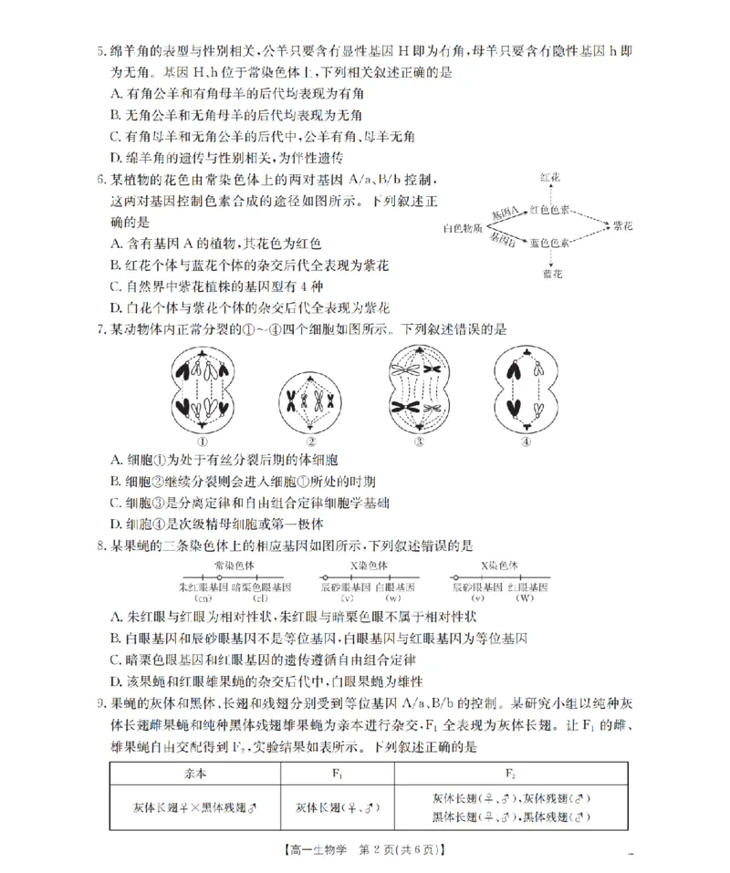 《生物_扫描版_2024-2027高一（7-7月题库）(1)_2026年05月高一试卷_260519云南省2025-2026学年高一下学期4月联考（全）》第2页预览