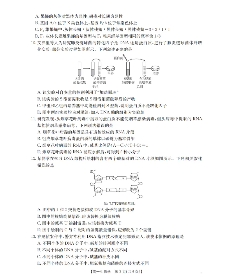 《生物_扫描版_2024-2027高一（7-7月题库）(1)_2026年05月高一试卷_260519云南省2025-2026学年高一下学期4月联考（全）》第3页预览