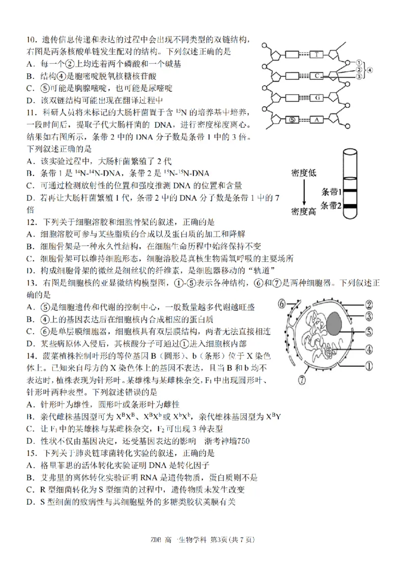 《生物卷-2605高一浙东北联盟_2024-2027高一（7-7月题库）(1)_2026年06月高一试卷_260604浙江省浙东北联盟2025-2026学年高一下学期5月期中考试（全）》第3页预览