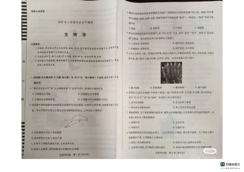 《2025年河南省新乡生物中考真题_12.2026年4月全国各地高考模拟卷_2026版初中金考卷•45套中考试卷汇编系列合集_全国版中考真题_2025年全国中考真题答案（按省市分类）(10)_河南省》第1页预览