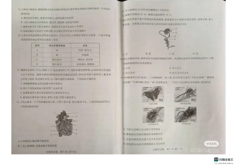 《2025年河南省新乡生物中考真题_12.2026年4月全国各地高考模拟卷_2026版初中金考卷•45套中考试卷汇编系列合集_全国版中考真题_2025年全国中考真题答案（按省市分类）(10)_河南省》第2页预览