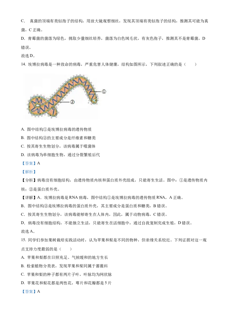 《2024年四川省宜宾市中考生物真题（解析版）_12.2026年4月全国各地高考模拟卷_2026版初中金考卷•45套中考试卷汇编系列合集_全国版中考真题(1)_各省市《历年中考真题》2013-2024(10)_四川》第10页预览
