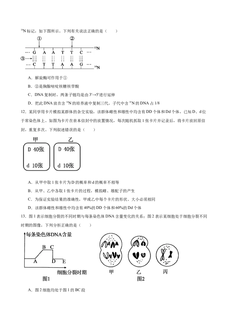 《福建省龙岩市一级达标校2025-2026学年高一下学期期中测试生物Word版含答案_2024-2027高一（7-7月题库）(1)_2026年05月高一试卷》第4页预览