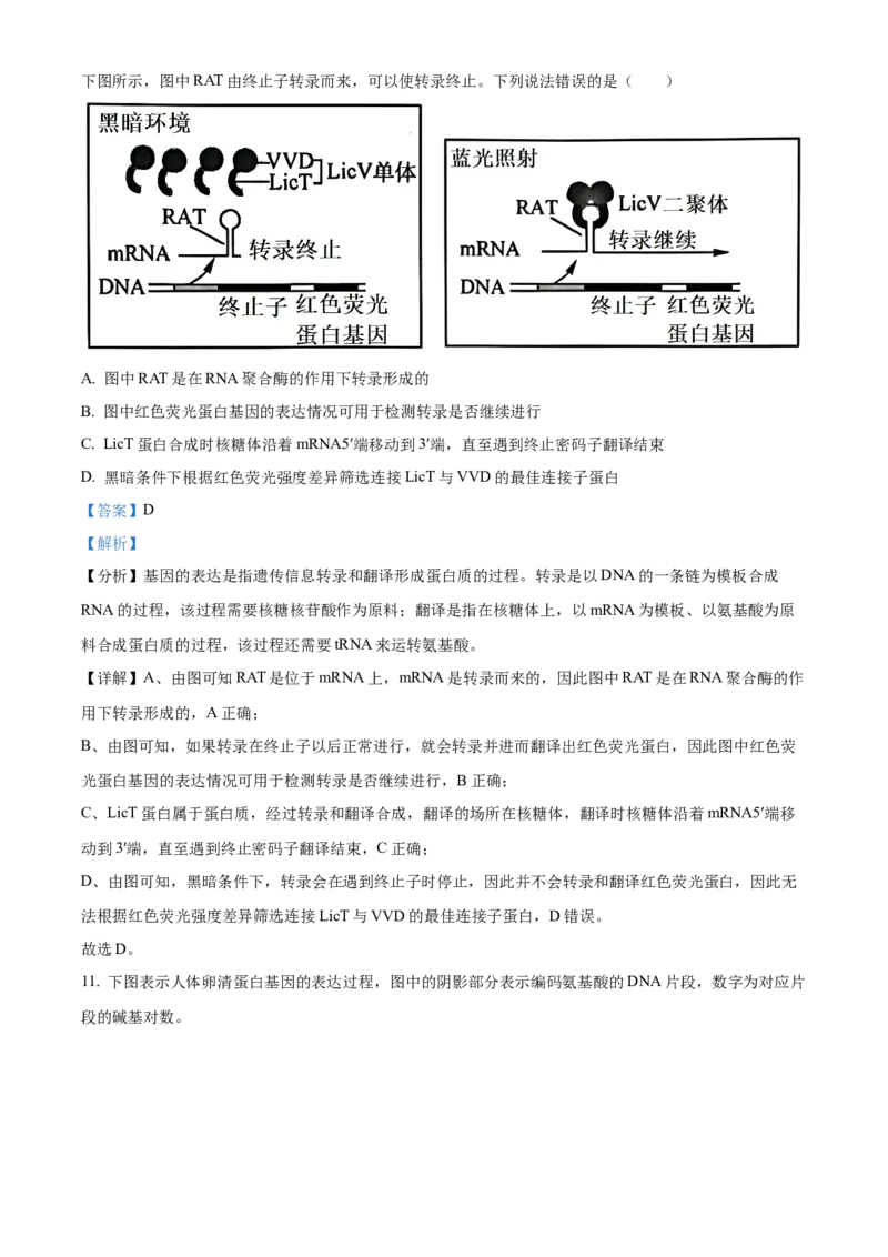 《湖北省荆州市沙市中学2025-2026学年高一下学期5月阶段检测生物试题Word版含解析_2024-2027高一（7-7月题库）(1)_2026年06月高一试卷》第7页预览