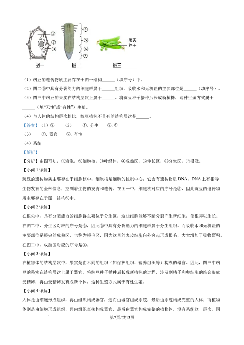 《2024年辽宁省中考生物真题（解析版）_12.2026年4月全国各地高考模拟卷_2026版初中金考卷•45套中考试卷汇编系列合集_全国版中考真题(1)_辽宁各地中考_辽宁生物（24）》第7页预览