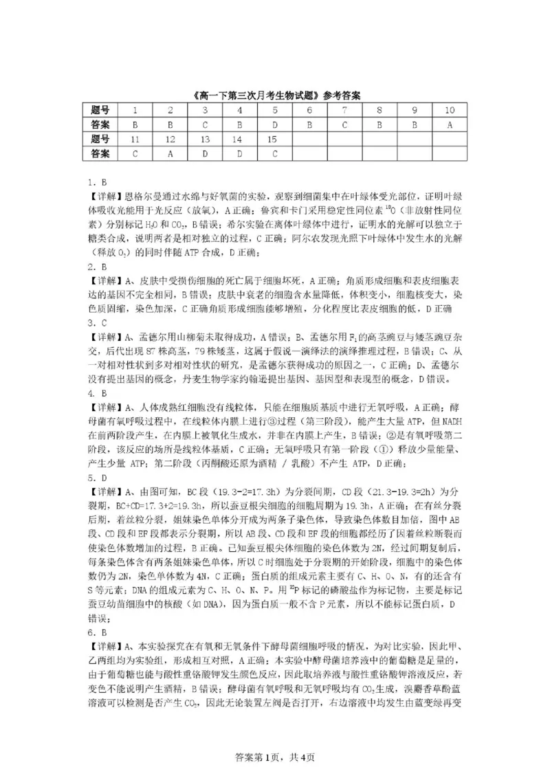 《生物答案_2024-2027高一（7-7月题库）(1)_2026年06月高一试卷_260619重庆市渝西中学2025-2026学年高一下学期6月阶段检测》第1页预览