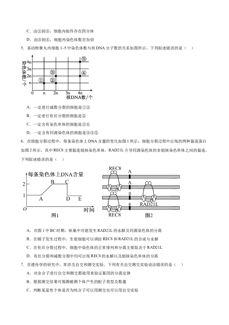 《福建泉州第一中学、厦外石狮分校、泉港一中、德化一中四校联盟2025-2026学年高一下学期期中考试生物Word版含答案_2024-2027高一（7-7月题库）(1)_2026年06月高一试卷》第2页预览