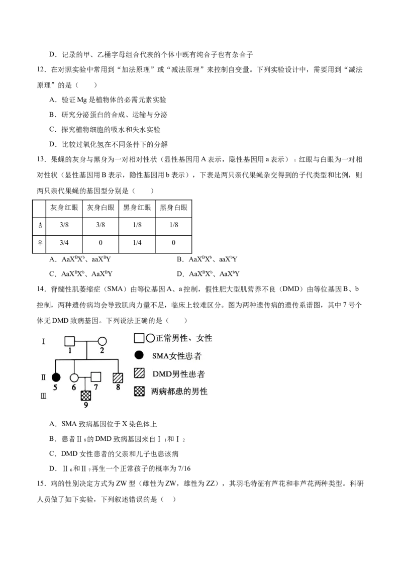 《福建泉州第一中学、厦外石狮分校、泉港一中、德化一中四校联盟2025-2026学年高一下学期期中考试生物Word版含答案_2024-2027高一（7-7月题库）(1)_2026年06月高一试卷》第4页预览