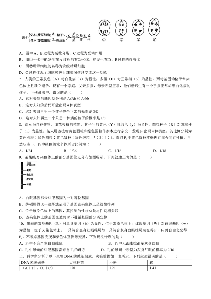 《湖南省长沙市雅礼中学2025-2026学年高一下学期期中考试生物试卷Word版含解析_2024-2027高一（7-7月题库）(1)_2026年05月高一试卷》第2页预览