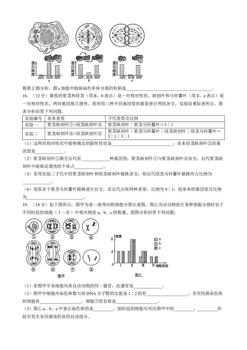 《湖南省长沙市雅礼中学2025-2026学年高一下学期期中考试生物试卷Word版含解析_2024-2027高一（7-7月题库）(1)_2026年05月高一试卷》第5页预览