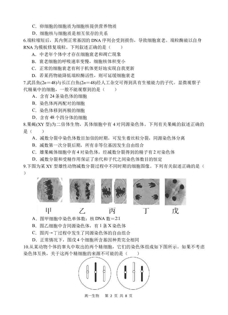 《生物_2024-2027高一（7-7月题库）(1)_2026年05月高一试卷_260521四川省遂宁市射洪中学2025-2026学年高一下学期期中考试（全）》第2页预览