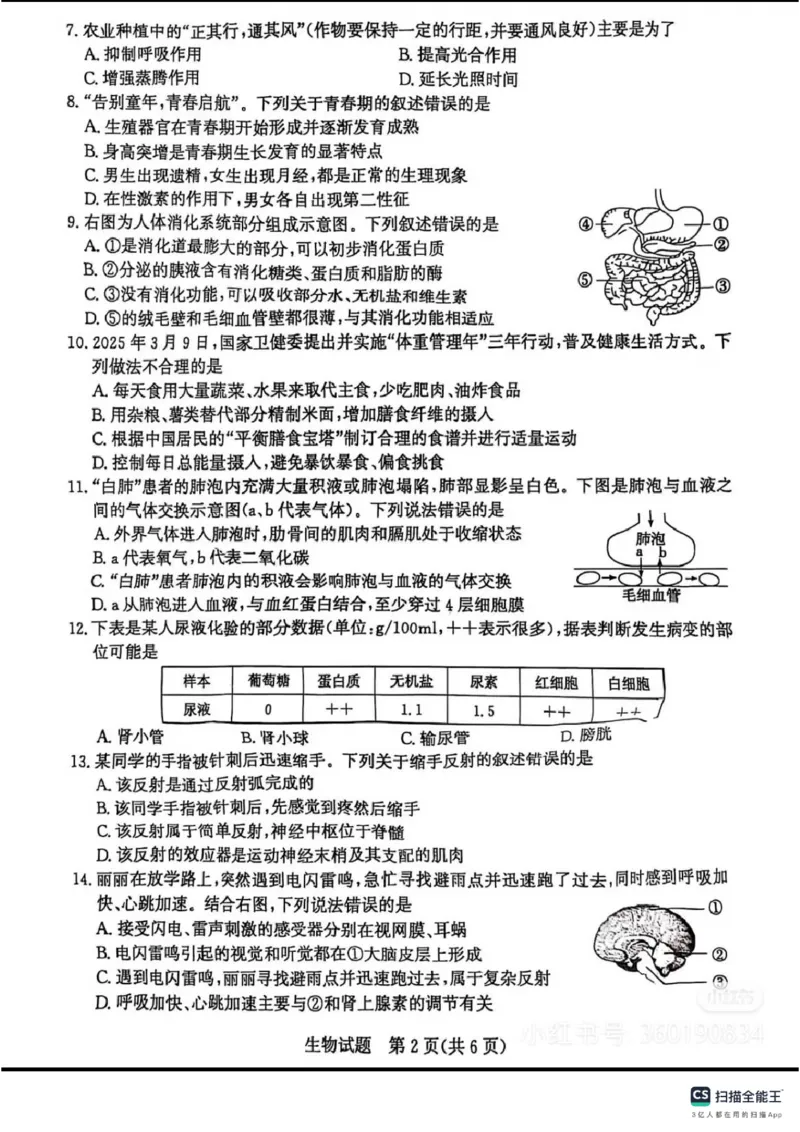 《2025年山东省聊城市中考生物真题及答案_12.2026年4月全国各地高考模拟卷_2026版初中金考卷•45套中考试卷汇编系列合集_全国版中考真题_2025年全国中考真题答案（按省市分类）(10)_山东省》第2页预览