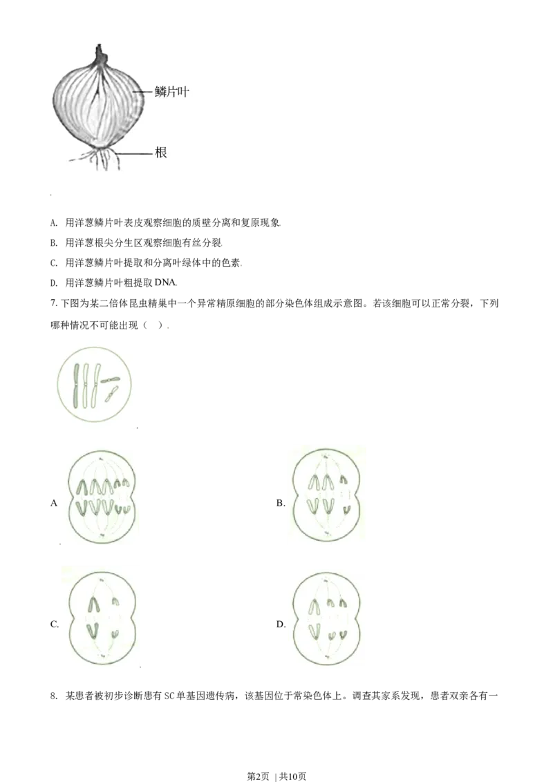 《2021年高考生物试卷（天津）（空白卷）_历年真题_2008-2025·（天津）生物高考真题》第2页预览