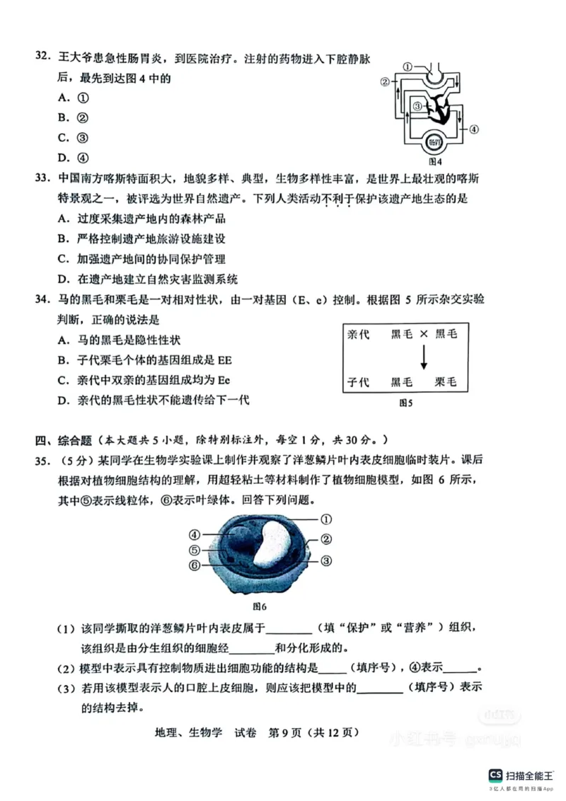 《2025年广西中考生物真题原卷_12.2026年4月全国各地高考模拟卷_2026版初中金考卷•45套中考试卷汇编系列合集_全国版中考真题_2025年全国中考真题答案（按省市分类）(10)_广西》第3页预览