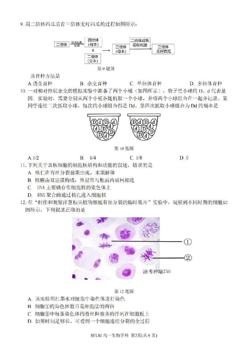 《生物卷-2606宁波三锋高一期末_2024-2027高一（7-7月题库）(1)_2026年06月高一试卷_260627浙江省宁波市三锋联盟2025-2026学年高一下学期6月期末练习（全）》第2页预览