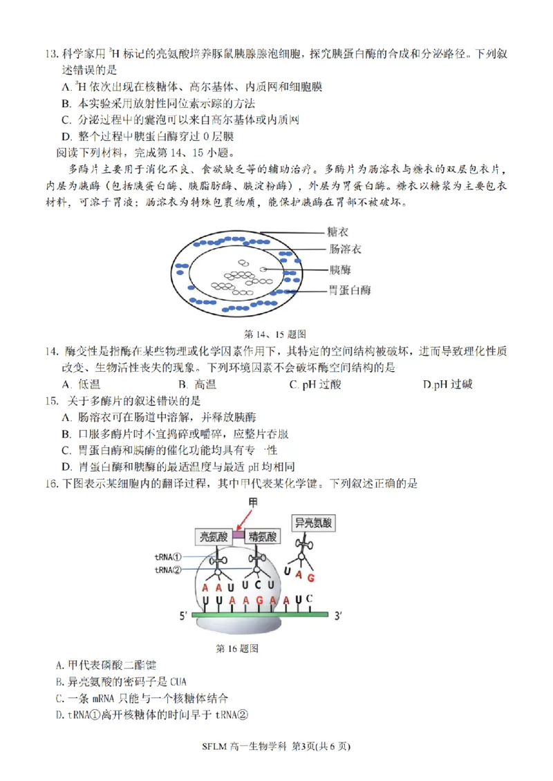 《生物卷-2606宁波三锋高一期末_2024-2027高一（7-7月题库）(1)_2026年06月高一试卷_260627浙江省宁波市三锋联盟2025-2026学年高一下学期6月期末练习（全）》第3页预览