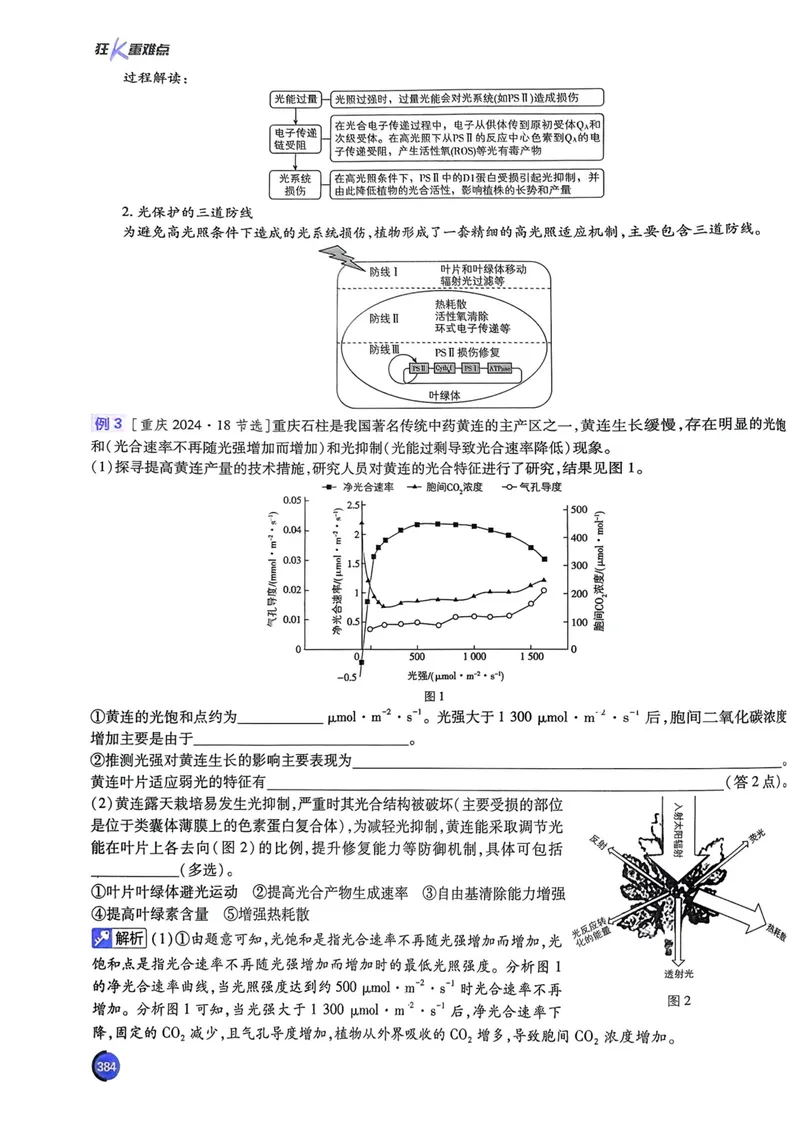 《2027高考必刷题生物狂K重点（单页）_高三必刷_高考必刷题_2027《高考必刷题合订本》（生物）》第10页预览