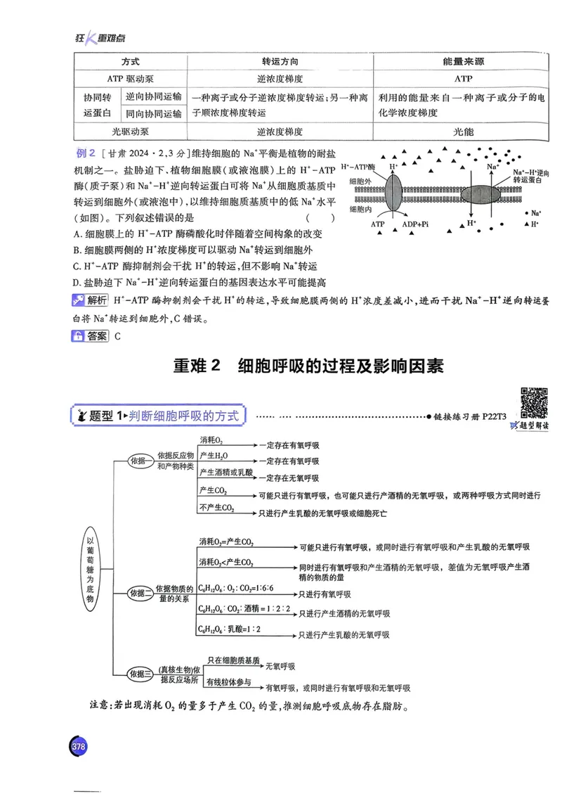 《2027高考必刷题生物狂K重点（单页）_高三必刷_高考必刷题_2027《高考必刷题合订本》（生物）》第4页预览