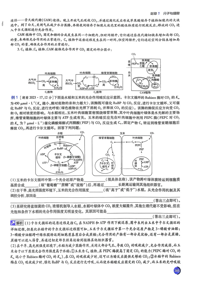 《2027高考必刷题生物狂K重点（单页）_高三必刷_高考必刷题_2027《高考必刷题合订本》（生物）》第7页预览