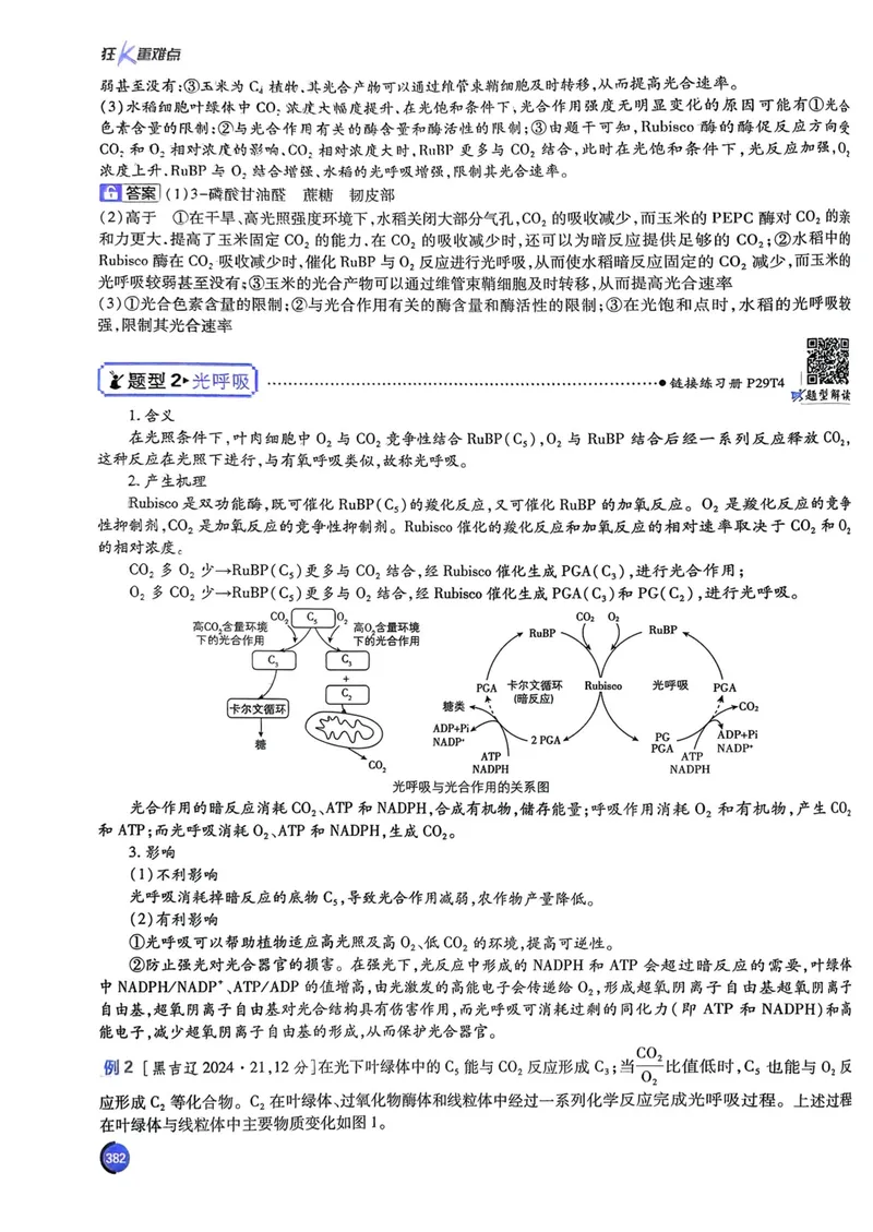 《2027高考必刷题生物狂K重点（单页）_高三必刷_高考必刷题_2027《高考必刷题合订本》（生物）》第8页预览