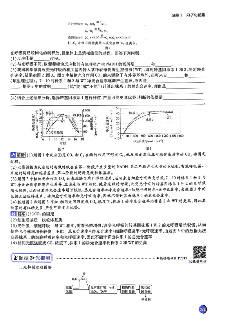 《2027高考必刷题生物狂K重点（单页）_高三必刷_高考必刷题_2027《高考必刷题合订本》（生物）》第9页预览