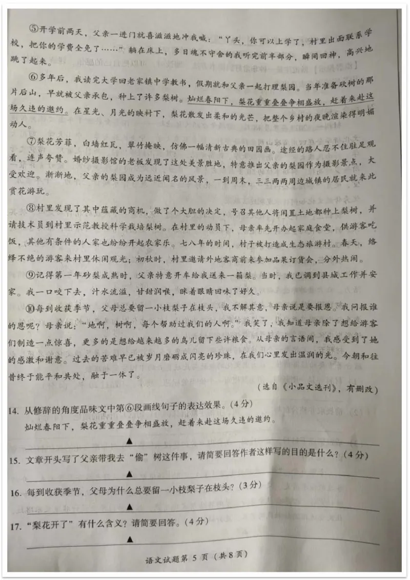 《2023四川凉山州语文试卷+答案(图片版)_12.2026年4月全国各地高考模拟卷_2026版初中金考卷•45套中考试卷汇编系列合集_全国版中考真题(1)_各省市《历年中考真题》2013-2024(10)》第5页预览