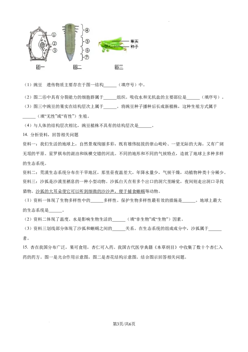 《2024年辽宁省中考生物真题（原卷版）_12.2026年4月全国各地高考模拟卷_2026版初中金考卷•45套中考试卷汇编系列合集_全国版中考真题(1)_辽宁各地中考_辽宁生物（24）》第3页预览