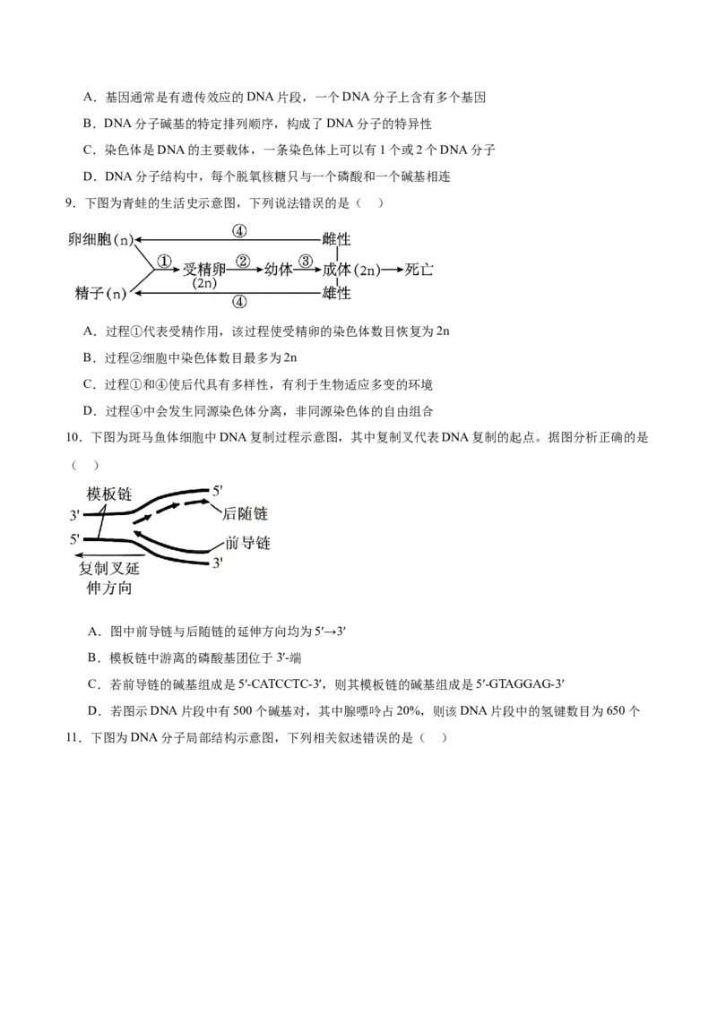 《福建省宁德市2025-2026学年高一下学期适应性练习（期中）生物Word版含答案_2024-2027高一（7-7月题库）(1)_2026年06月高一试卷_260602福建省宁德市2025-2026学年高一下学期适应性练习（期中）》第3页预览