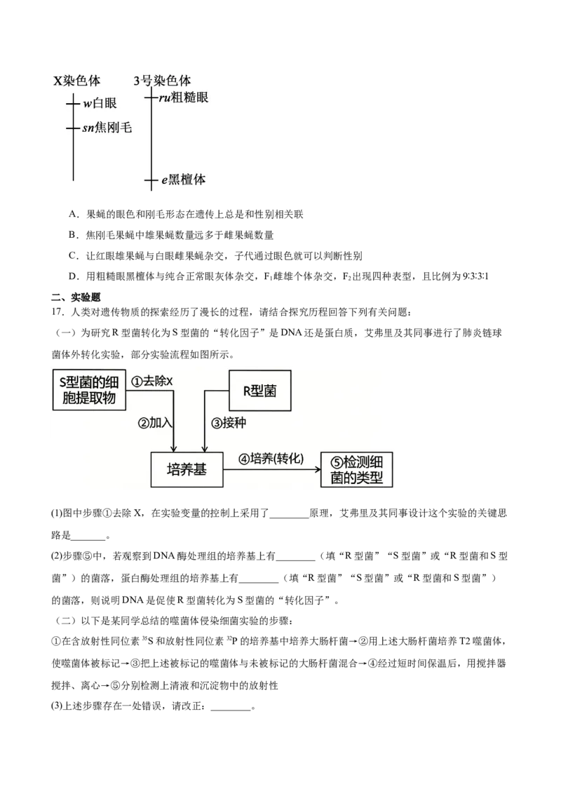《福建省宁德市2025-2026学年高一下学期适应性练习（期中）生物Word版含答案_2024-2027高一（7-7月题库）(1)_2026年06月高一试卷_260602福建省宁德市2025-2026学年高一下学期适应性练习（期中）》第6页预览