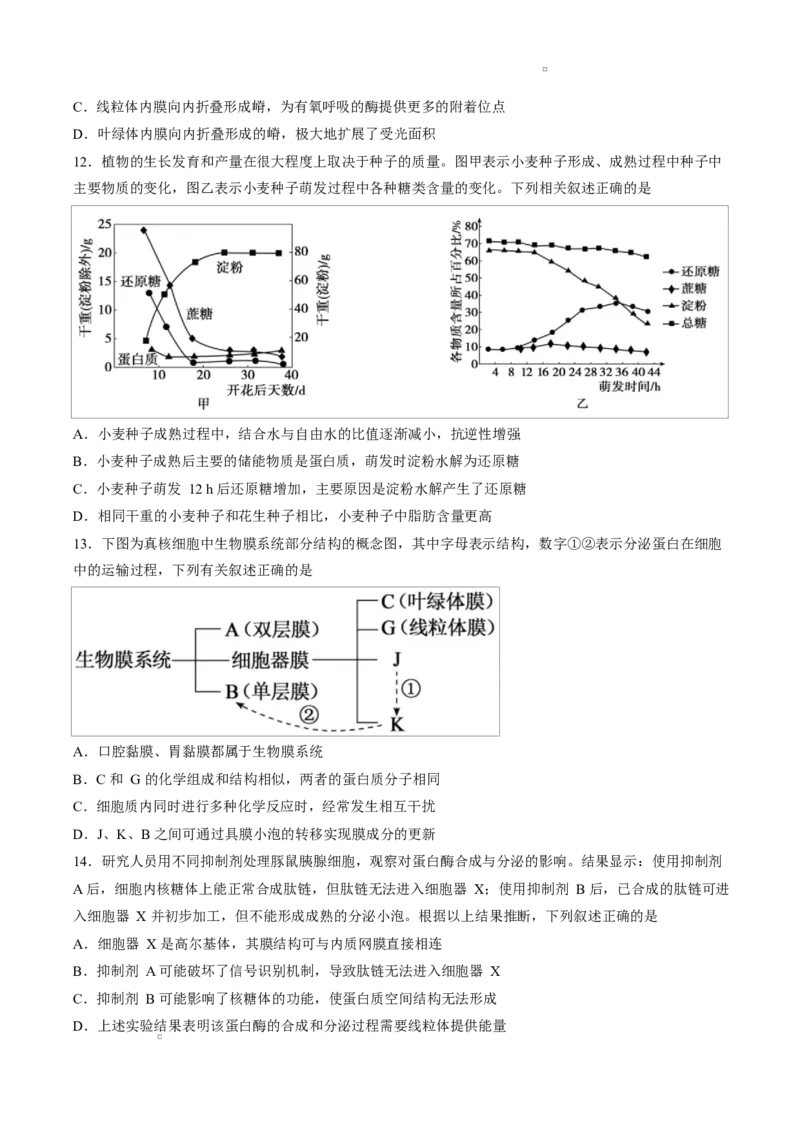 《试卷湖北襄阳市四中2026级高一卓越班5月月考生物学试题_2024-2027高一（7-7月题库）(1)_2026年06月高一试卷_260605湖北省襄阳市第四中学2025-2026学年高一下学期5月学情调研（全）》第4页预览