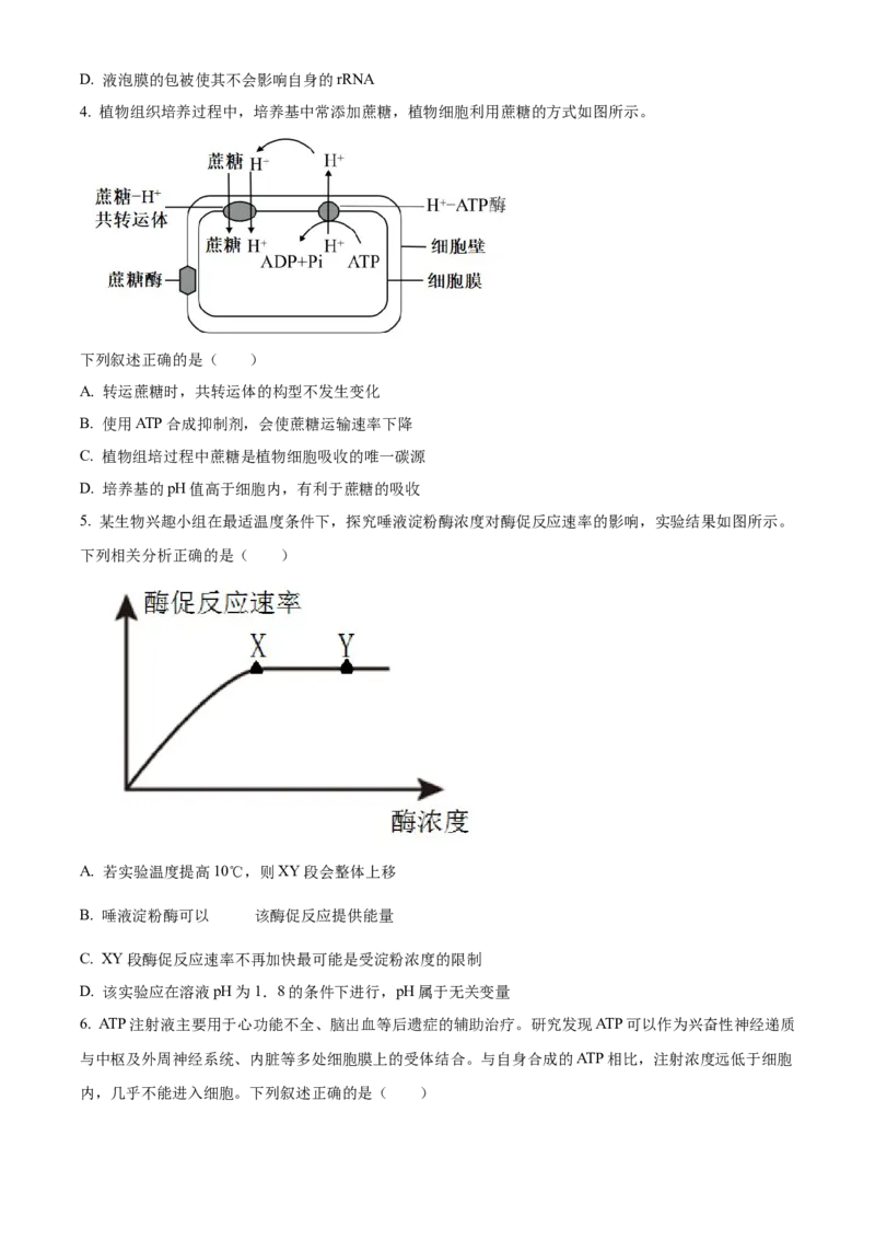 《2026届陕西省西安中学高三第三次模拟考试生物试卷Word版无答案_12.2026年4月全国各地高考模拟卷_2026届陕西省西安中学高三下学期第三次模拟考试》第2页预览