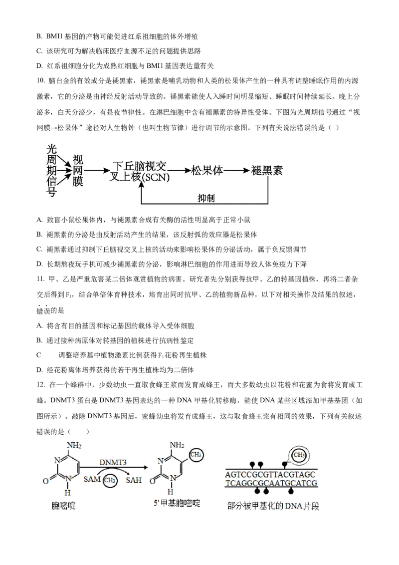 《2026届陕西省西安中学高三第三次模拟考试生物试卷Word版无答案_12.2026年4月全国各地高考模拟卷_2026届陕西省西安中学高三下学期第三次模拟考试》第4页预览