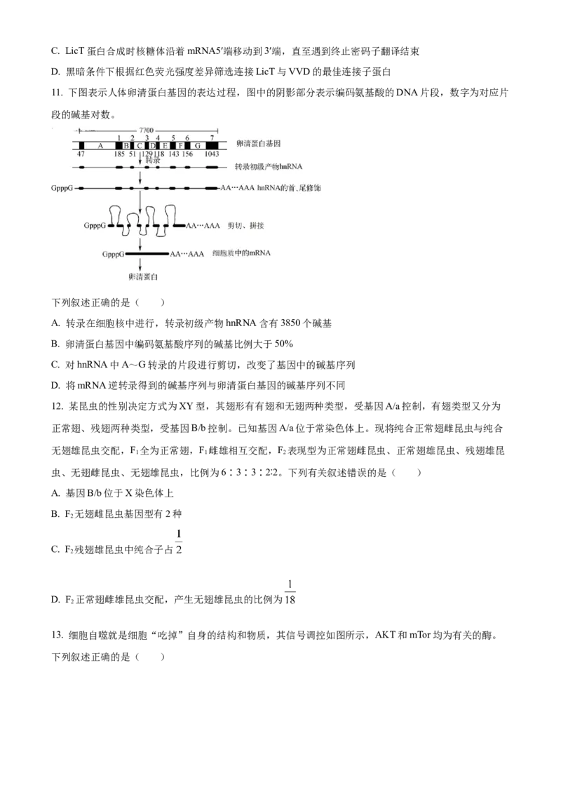 《湖北省荆州市沙市中学2025-2026学年高一下学期5月阶段检测生物试题（原卷版）_2024-2027高一（7-7月题库）(1)_2026年06月高一试卷》第4页预览
