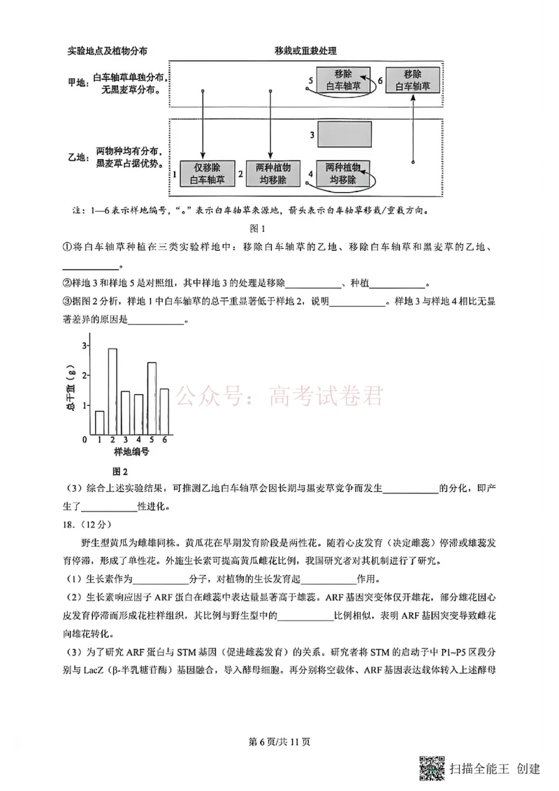 《2026北京丰台高三一模生物试题及答案_副本_12.2026年4月全国各地高考模拟卷_2026年4月_北京丰台一模2026年北京丰台高三一模全科_06生物_2026北京丰台高三一模》第6页预览