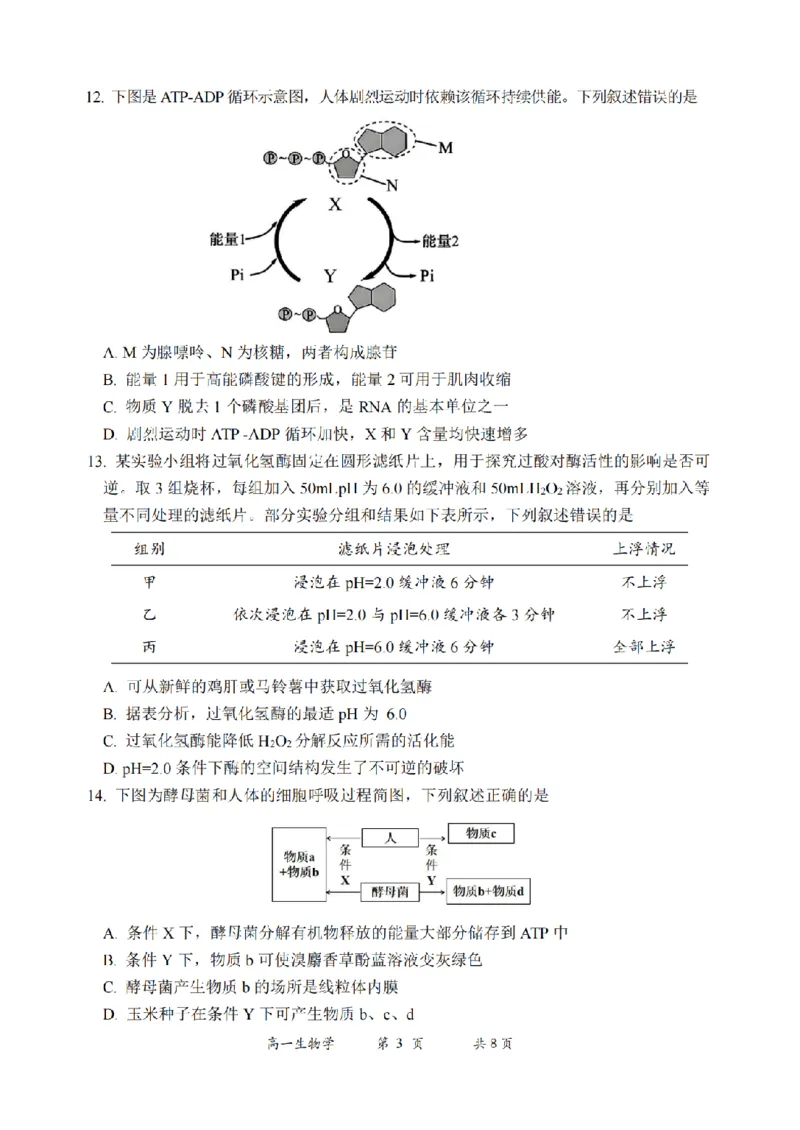 《生物卷-2606湖州高一期末_2024-2027高一（7-7月题库）(1)_2026年06月高一试卷_260626浙江省湖州市2025-2026学年高一下学期6月期末考试（全）》第3页预览