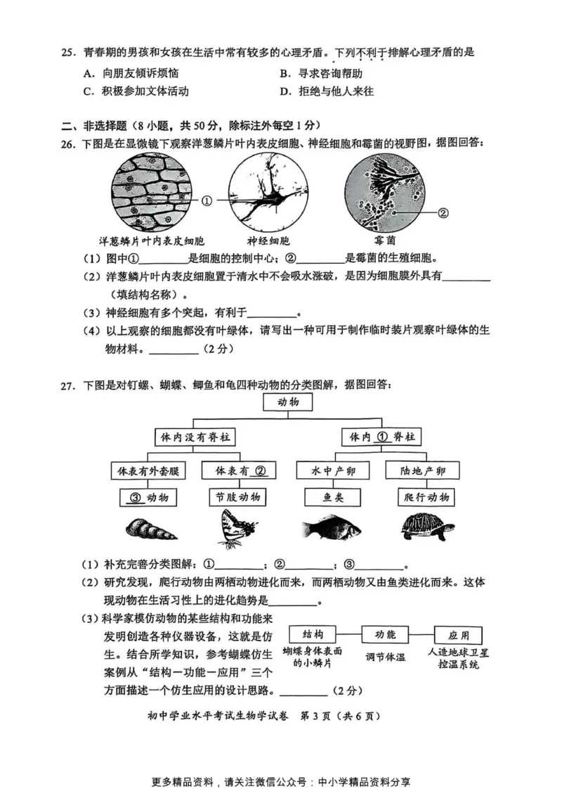 《2025年长沙市中考生物学真题原卷完整版_12.2026年4月全国各地高考模拟卷_2026版初中金考卷•45套中考试卷汇编系列合集_全国版中考真题(1)_2025年全国中考真题答案（按省市分类）(10)》第2页预览