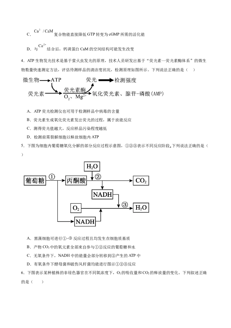 《福建省莆田第一中学2025-2026学年高一下学期第一学段考试（期中）生物Word版含答案_2024-2027高一（7-7月题库）(1)_2026年06月高一试卷》第2页预览