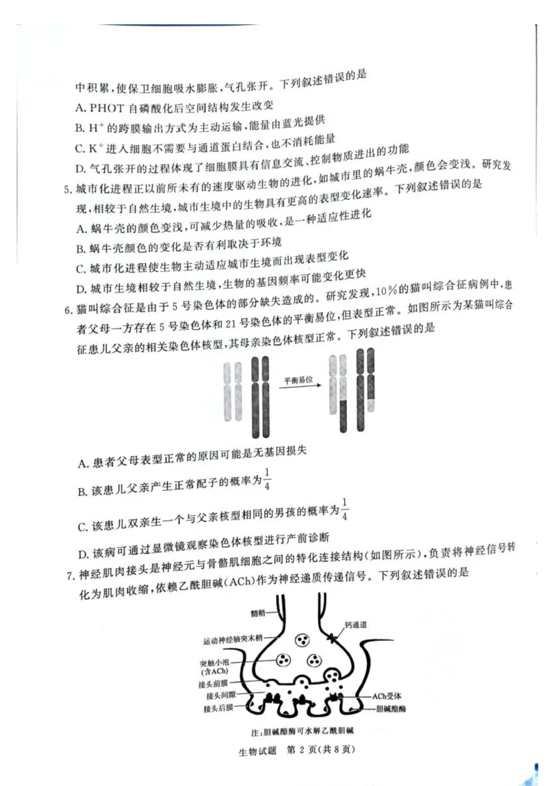 《2025-2026学年高三下学期考前模拟演练生物试题_2024-2027高三（6-6月题库）_2026年05月高三试卷_260528河南2026届高三青桐鸣5月联考暨考前演练（全科）》第2页预览