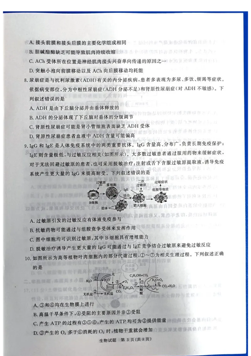 《2025-2026学年高三下学期考前模拟演练生物试题_2024-2027高三（6-6月题库）_2026年05月高三试卷_260528河南2026届高三青桐鸣5月联考暨考前演练（全科）》第3页预览