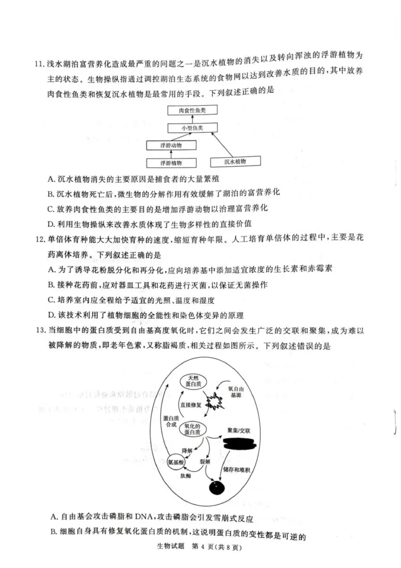《2025-2026学年高三下学期考前模拟演练生物试题_2024-2027高三（6-6月题库）_2026年05月高三试卷_260528河南2026届高三青桐鸣5月联考暨考前演练（全科）》第4页预览