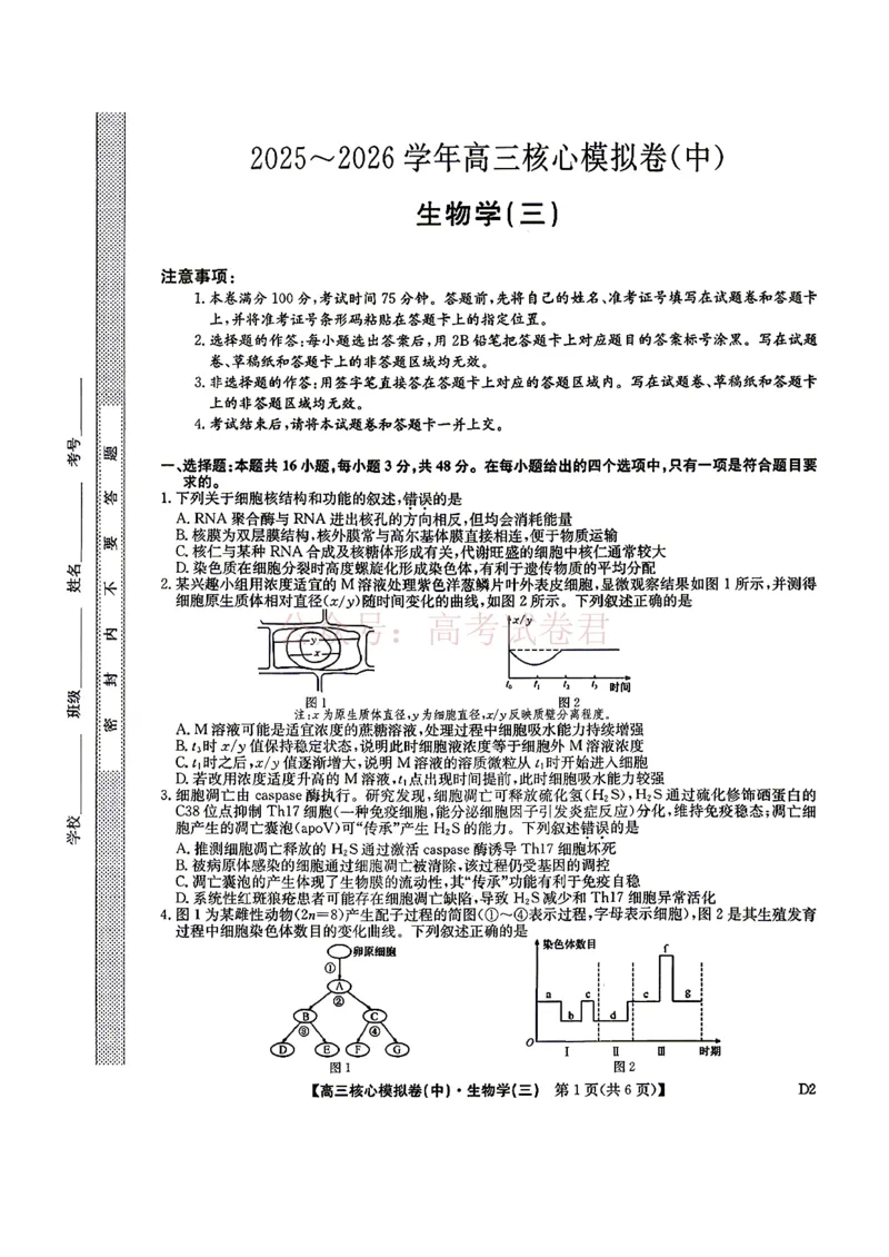 《2026九师联盟高三核心模拟卷（中）三-生物（含答案）_副本_12.2026年4月全国各地高考模拟卷_2026届九师联盟高三核心模拟卷（中）三全科_06生物_九师联盟高三核心模拟卷（中）三》第1页预览