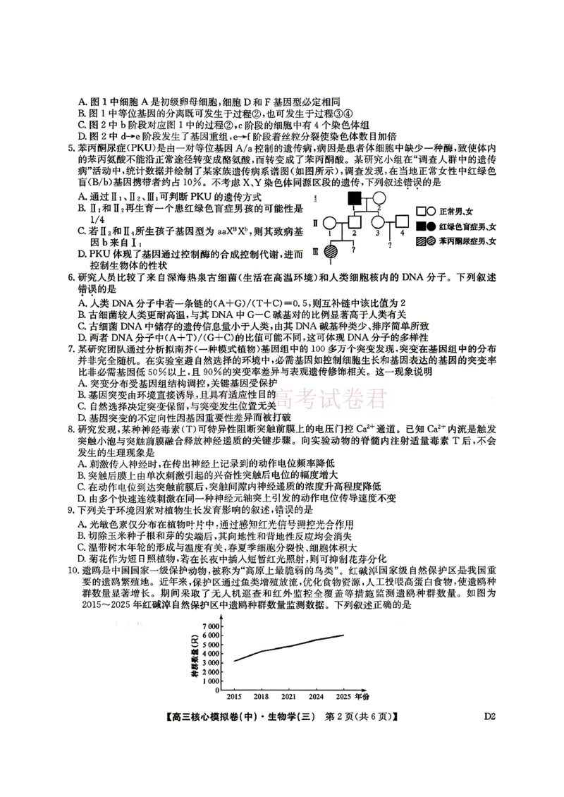 《2026九师联盟高三核心模拟卷（中）三-生物（含答案）_副本_12.2026年4月全国各地高考模拟卷_2026届九师联盟高三核心模拟卷（中）三全科_06生物_九师联盟高三核心模拟卷（中）三》第2页预览