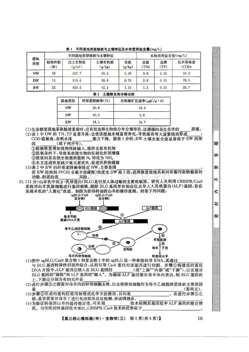 《2026九师联盟高三核心模拟卷（中）三-生物（含答案）_副本_12.2026年4月全国各地高考模拟卷_2026届九师联盟高三核心模拟卷（中）三全科_06生物_九师联盟高三核心模拟卷（中）三》第6页预览
