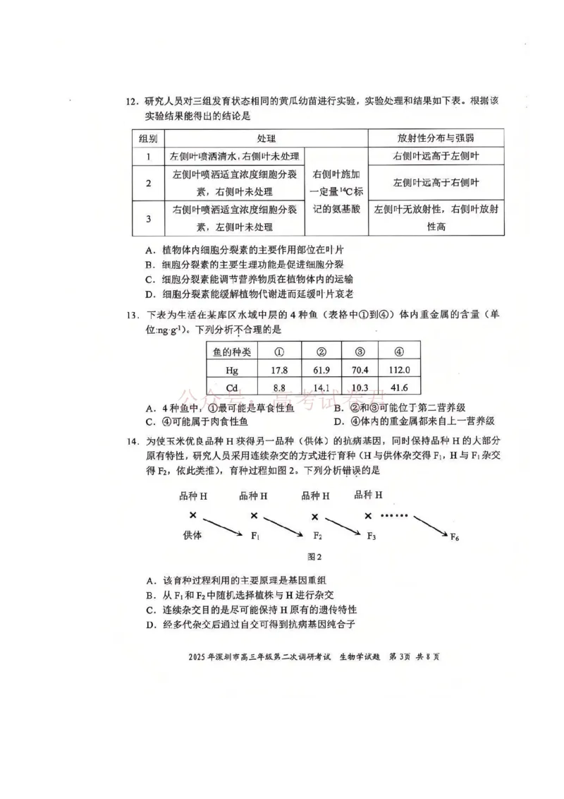 《2025年深圳市高三年级第二次调研考试生物_12.2026年4月全国各地高考模拟卷_2026年4月_2025届广东省深圳市高三第二次调研考试全科_06生物_2025届广东省深圳市高三第二次调研考试》第3页预览