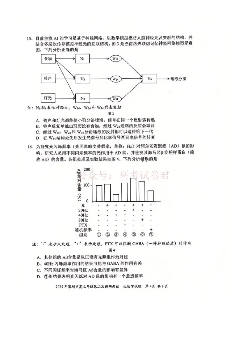 《2025年深圳市高三年级第二次调研考试生物_12.2026年4月全国各地高考模拟卷_2026年4月_2025届广东省深圳市高三第二次调研考试全科_06生物_2025届广东省深圳市高三第二次调研考试》第4页预览
