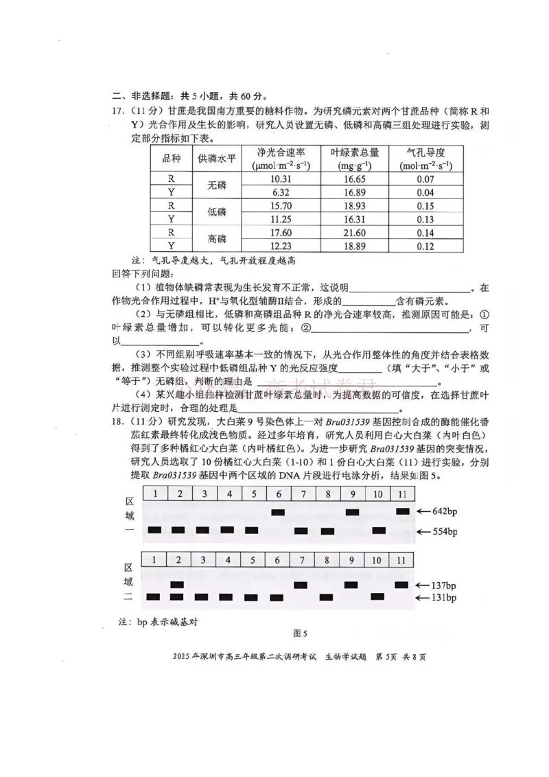 《2025年深圳市高三年级第二次调研考试生物_12.2026年4月全国各地高考模拟卷_2026年4月_2025届广东省深圳市高三第二次调研考试全科_06生物_2025届广东省深圳市高三第二次调研考试》第5页预览