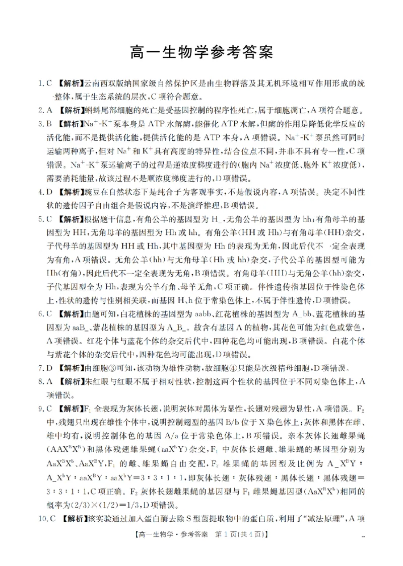 《生物答案_扫描版_2024-2027高一（7-7月题库）(1)_2026年05月高一试卷_260519云南省2025-2026学年高一下学期4月联考（全）》第1页预览