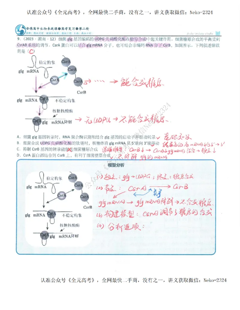 《2024李林二轮笔记_2024-2027高三（6-6月题库）_2024年09月试卷_李林》第9页预览