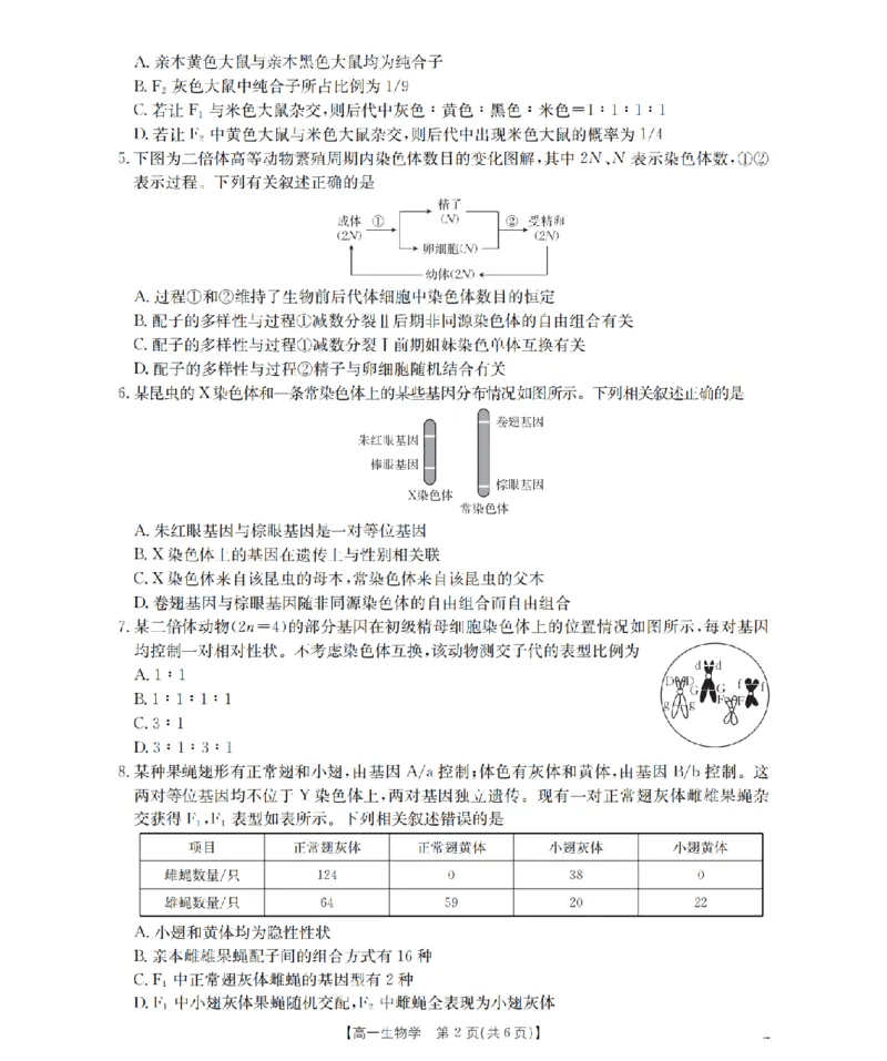 《生物_扫描版_2024-2027高一（7-7月题库）(1)_2026年05月高一试卷_260518广西来宾市2025-2026学年高一下学期四月阶段性检测（全）》第2页预览