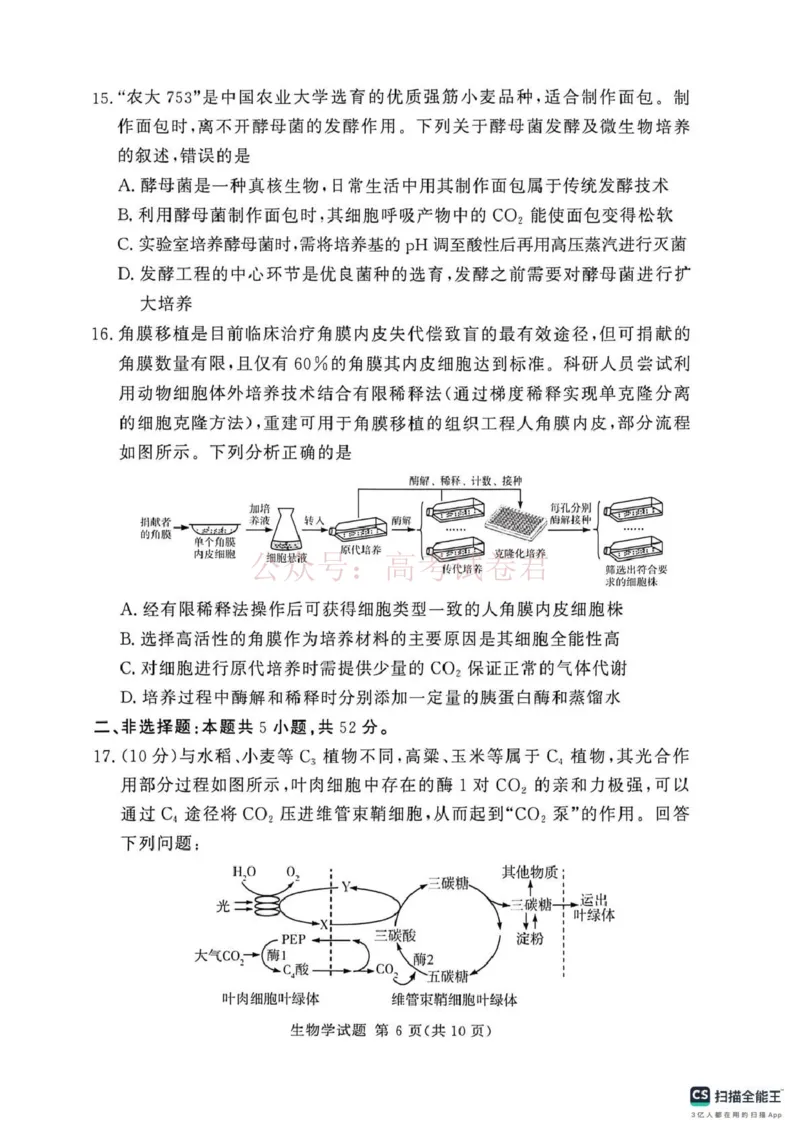 《2025-2026学年高三下学期四月阶段检测生物_副本_12.2026年4月全国各地高考模拟卷_2026年4月_2026届河南省湘豫联盟高三四月阶段检测全科_06生物_河南省湘豫联盟高三四月阶段检测》第6页预览